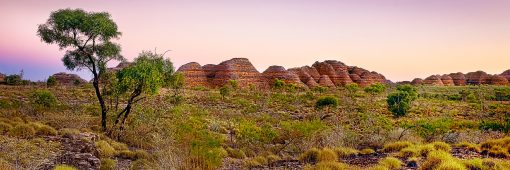 The beehive like landscape of the world heritage listed Bungle Bungles ( Purnululu ) National Park.