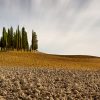Solitary Cypress trees stand tall near the UNESCO town of San Quirico d’Orcia.