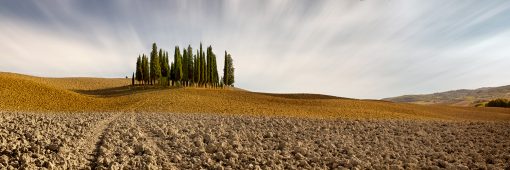 Solitary Cypress trees stand tall near the UNESCO town of San Quirico d’Orcia.