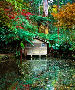 A peaceful June morning, surrounded by the colours of autumn, this boat house stands over a tranquil garden lake in the Dandenong ranges, Victoria.