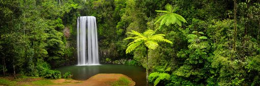 The beauty of Millaa Millaa Falls. North Queensland.