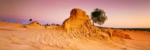 These ancient lunettes in the Mungo Mungo N.P have stood for over 40000 years. It was quite a surreal experience being out here alone in the last light of the day.