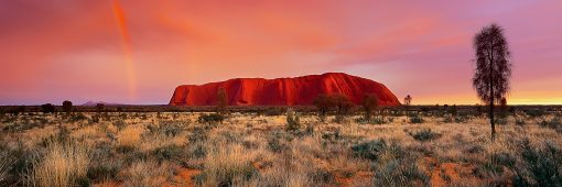 As the sun rises in the Red Centre, a rainbow appears between Uluru and kata Tjuta. For me this was one of the most amazing scenes I’ve ever captured, this was my first morning in the park and to witness such a stunning sunrise was truly special.