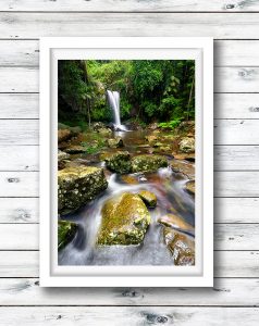 curtis falls tamborine national park