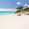 Binalong - Tasmania - Image 4