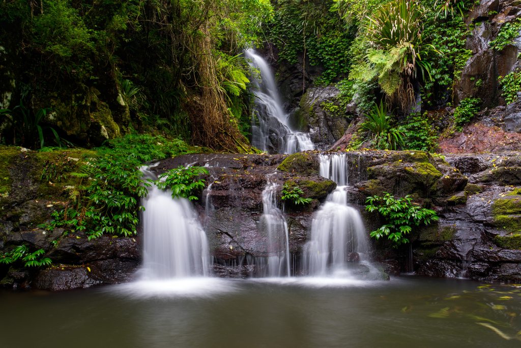 Elabana Falls in the Lamington National Park.