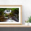 Horseshoe Falls - Image 2
