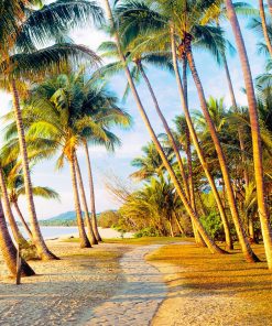 Palm Cove, Tropical North Queensland.