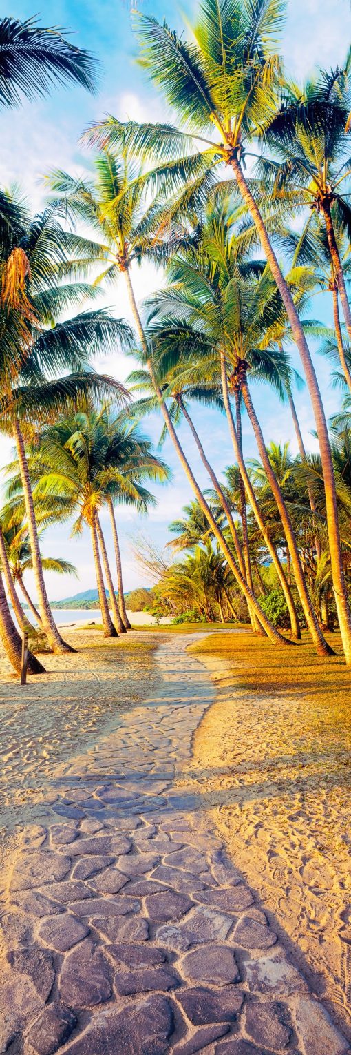 Palm Cove, Tropical North Queensland.