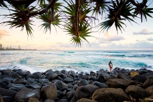 Surfer at dawn - Burleigh Heads.