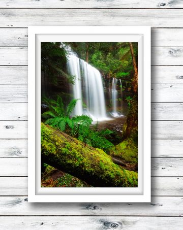 The stunning Russell Falls, Tasmania.