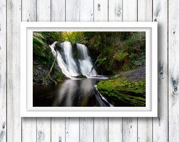 Hogarth Falls, Western Tasmania.