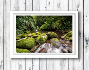 Cascades in the Lamington National Park.