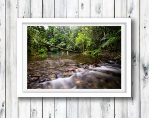 Blue Hole in the Daintree NP, Tropical North Queensland.