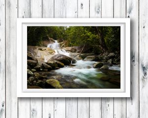 Josephine Falls in Tropical North Queensland.