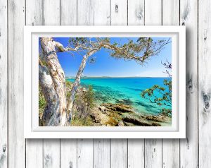 Looking out of the Noosa National Park, Queensland.