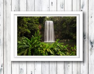 The beautiful Millaa Millaa Falls after rain, Tropical North Queensland.