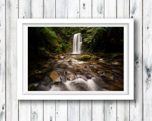 The lush Beauchamp Falls in the Otways, Victoria.