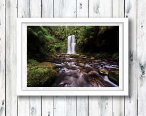 The lush Beauchamp Falls in the Otways, Victoria.