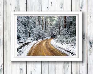 Snow covered Mt Field National Park.