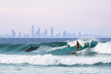 Surfing with Dolphins at Snapper Rocks - Gold Coast, QLD.