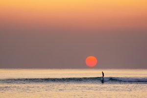 Sunrise surfer at Burleigh Heads, Gold Coast.