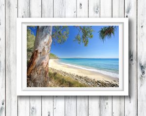 Stunning day at Tea Tree Bay, Noosa National Park, QLD.