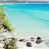 Coolangatta blues - Queensland