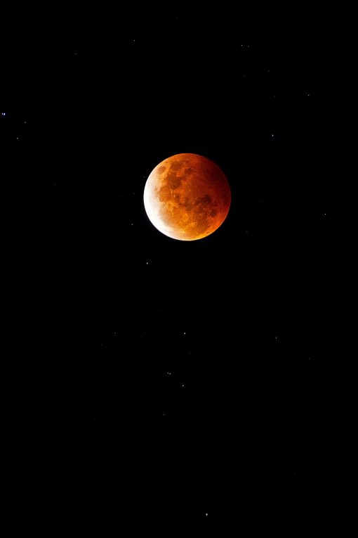 Blood Red Moon - Gold Coast.